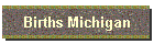 Births Michigan